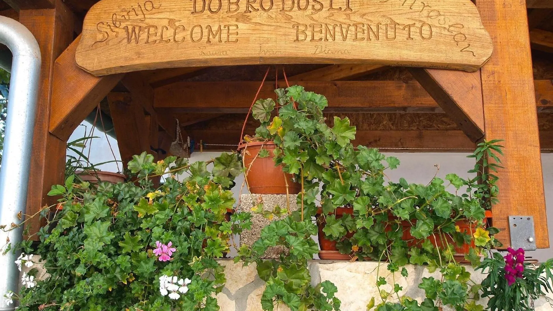 Ferienwohnung Fuer 4 Personen Ca 42 Qm In Fazana-Surida, Istrien Istrische Riviera Valbandon